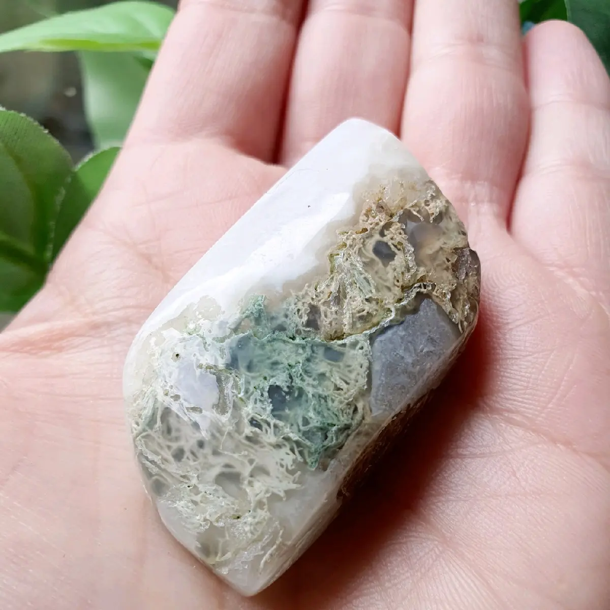 Moss Agate & Flower Agate