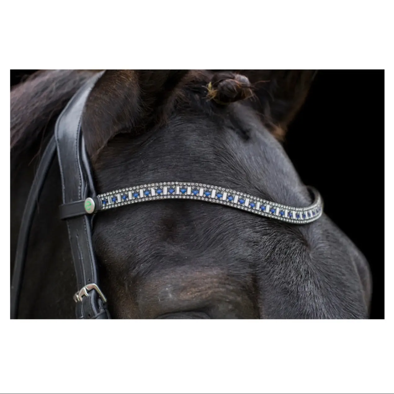 Ecorider Freedom Bling Browband