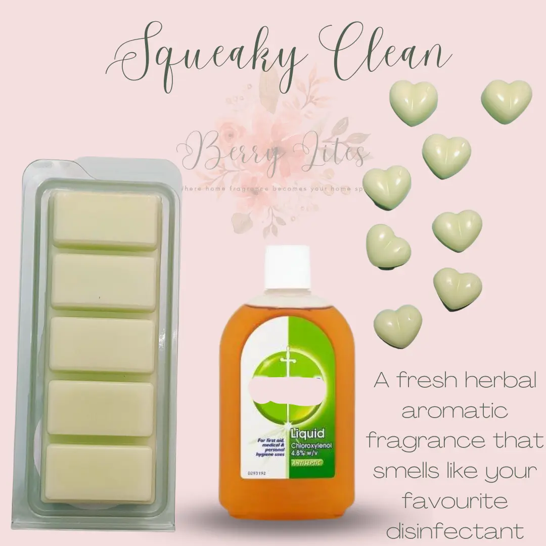 Squeaky Clean Wax Melts, Strong Melts, Cleaning Scents, Luxury Wax Bar, Snap Bar, Detol Scent  Melts, Clean Home, Long Lasting Wax Longlasting